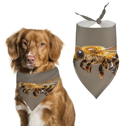 Bee Flying Dog Halstücher, niedlich, weiche Baumwolle, waschbar, für den täglichen Sommer, langlebig, dreieckig, wendbar, geeignet für kleine, mittelgroße und große Hunde und Katzen Bee Flying Dog Halstücher, niedlich, weiche Baumwolle, waschbar, für den täglichen Sommer, langlebig, dreieckig, wendbar, geeignet für kleine, mittelgroße und große Hunde und Katzen von ERSTSNCK