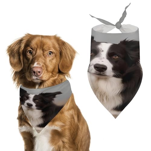 Border Collie Hundehalstücher, niedlich, weiche Baumwolle, waschbar, für den täglichen Sommer, langlebig, dreieckig, wendbar, geeignet für kleine, mittelgroße und große Hunde und Katzen Border Collie Hundehalstücher, niedlich, weiche Baumwolle, waschbar, für den täglichen Sommer, langlebig, dreieckig, wendbar, geeignet für kleine, mittelgroße und große Hunde und Katzen von ERSTSNCK