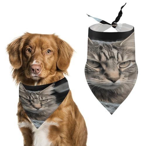 Cat Smashes Hundehalstücher aus Glas, niedlich, weiche Baumwolle, waschbar, für den täglichen Sommer, langlebig, dreieckig, wendbar, geeignet für kleine, mittelgroße und große Hunde und Katzen von ERSTSNCK