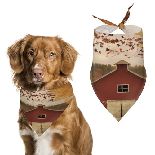 Fall Country Barn Hundehalstücher, niedlich, weiche Baumwolle, waschbar, für den täglichen Sommer, langlebig, dreieckig, wendbar, geeignet für kleine, mittelgroße und große Hunde und Katzen Fall Country Barn Hundehalstücher, niedlich, weiche Baumwolle, waschbar, für den täglichen Sommer, langlebig, dreieckig, wendbar, geeignet für kleine, mittelgroße und große Hunde und Katzen von ERSTSNCK