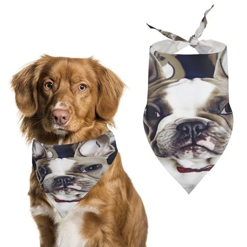Halstücher für Hunde mit niedlicher französischer Bulldogge, weich, Baumwolle, waschbar, für den täglichen Sommer, langlebig, dreieckig, wendbar, geeignet für kleine, mittelgroße und große Hunde und von ERSTSNCK