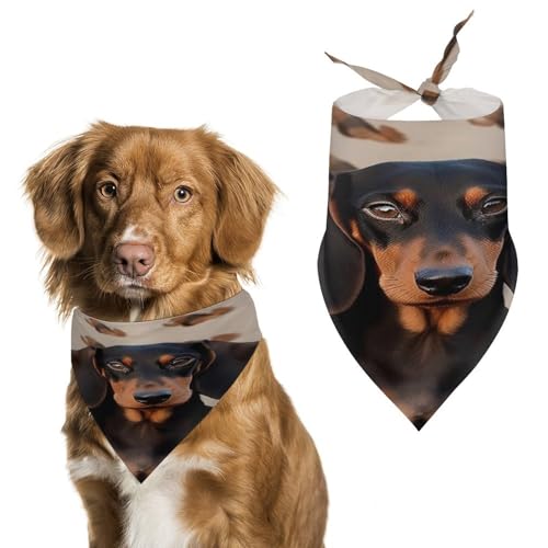 Halstücher für Hunde und Hunde, niedlich, weiche Baumwolle, waschbar, für den täglichen Sommer, langlebig, dreieckig, wendbar, geeignet für kleine, mittelgroße und große Hunde und Katzen Halstücher für Hunde und Hunde, niedlich, weiche Baumwolle, waschbar, für den täglichen Sommer, langlebig, dreieckig, wendbar, geeignet für kleine, mittelgroße und große Hunde und Katzen von ERSTSNCK