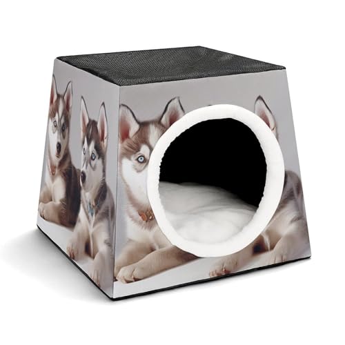 Haustierhütte mit Hundemotiv, bequemes Nest für Haustiere, Weltraumkapsel, warm, weich, für den Innenbereich, für Katzen, kleine Hunde und mittelgroße Tiere Haustierhütte mit Hundemotiv, bequemes Nest für Haustiere, Weltraumkapsel, warm, weich, für den Innenbereich, für Katzen, kleine Hunde und mittelgroße Tiere von ERSTSNCK