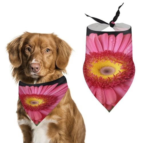 Hundehalstücher mit Blumengerbera-Motiv, niedlich, weiche Baumwolle, waschbar, für den täglichen Sommer, langlebig, dreieckig, wendbar, geeignet für kleine, mittelgroße und große Hunde und Katzen Hundehalstücher mit Blumengerbera-Motiv, niedlich, weiche Baumwolle, waschbar, für den täglichen Sommer, langlebig, dreieckig, wendbar, geeignet für kleine, mittelgroße und große Hunde und Katzen von ERSTSNCK