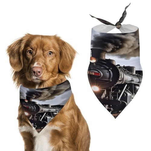 Hundehalstücher mit Dampfzug, niedlich, weiche Baumwolle, waschbar, für den täglichen Sommer, langlebig, dreieckig, wendbar, geeignet für kleine, mittelgroße und große Hunde und Katzen Hundehalstücher mit Dampfzug, niedlich, weiche Baumwolle, waschbar, für den täglichen Sommer, langlebig, dreieckig, wendbar, geeignet für kleine, mittelgroße und große Hunde und Katzen von ERSTSNCK