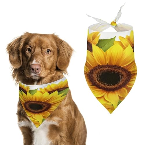 Hundehalstücher mit Sonnenblumen-Motiv, niedlich, weiche Baumwolle, waschbar, für den täglichen Sommer, langlebig, dreieckig, wendbar, geeignet für kleine, mittelgroße und große Hunde und Katzen Hundehalstücher mit Sonnenblumen-Motiv, niedlich, weiche Baumwolle, waschbar, für den täglichen Sommer, langlebig, dreieckig, wendbar, geeignet für kleine, mittelgroße und große Hunde und Katzen von ERSTSNCK