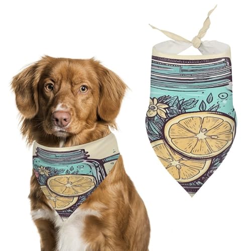Hundehalstücher mit Zitronenscheiben, niedlich, weiche Baumwolle, waschbar, für den täglichen Sommer, langlebig, dreieckig, wendbar, geeignet für kleine, mittelgroße und große Hunde und Katzen Hundehalstücher mit Zitronenscheiben, niedlich, weiche Baumwolle, waschbar, für den täglichen Sommer, langlebig, dreieckig, wendbar, geeignet für kleine, mittelgroße und große Hunde und Katzen von ERSTSNCK