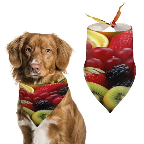 Hundehalstücher mit frischem Obst, niedlich, weiche Baumwolle, waschbar, für den täglichen Sommer, langlebig, dreieckig, wendbar, geeignet für kleine, mittelgroße und große Hunde und Katzen Hundehalstücher mit frischem Obst, niedlich, weiche Baumwolle, waschbar, für den täglichen Sommer, langlebig, dreieckig, wendbar, geeignet für kleine, mittelgroße und große Hunde und Katzen von ERSTSNCK