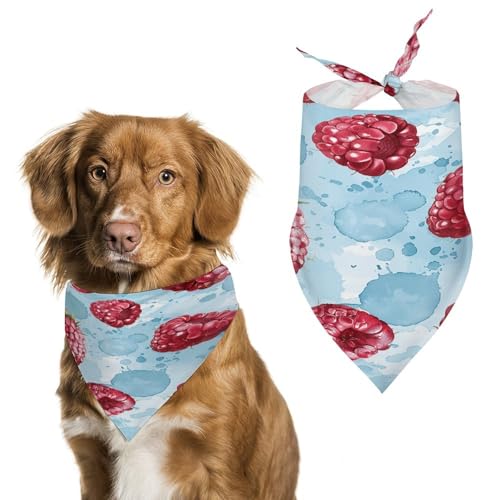 Hundehalstücher mit hellblauem Muster, niedlich, weiche Baumwolle, waschbar, für den täglichen Sommer, langlebig, dreieckig, wendbar, geeignet für kleine, mittelgroße und große Hunde und Katzen Hundehalstücher mit hellblauem Muster, niedlich, weiche Baumwolle, waschbar, für den täglichen Sommer, langlebig, dreieckig, wendbar, geeignet für kleine, mittelgroße und große Hunde und Katzen von ERSTSNCK