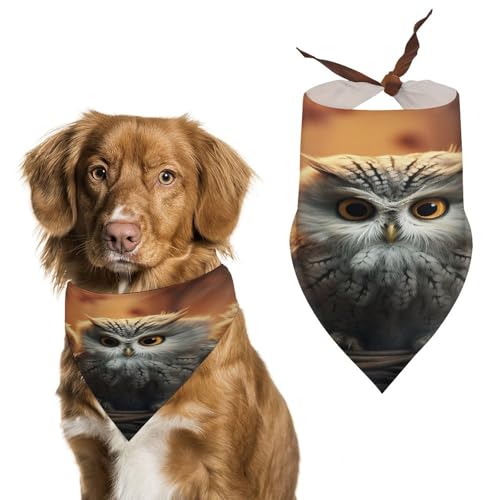 Hundehalstücher mit niedlichem Eulen-Design, weich, Baumwolle, waschbar, für den täglichen Sommer, langlebig, dreieckig, wendbar, geeignet für kleine, mittelgroße und große Hunde und Katzen Hundehalstücher mit niedlichem Eulen-Design, weich, Baumwolle, waschbar, für den täglichen Sommer, langlebig, dreieckig, wendbar, geeignet für kleine, mittelgroße und große Hunde und Katzen von ERSTSNCK