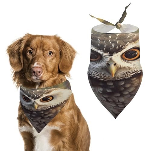 Hundehalstücher mit niedlichem Eulen-Design, weich, Baumwolle, waschbar, für den täglichen Sommer, langlebig, dreieckig, wendbar, geeignet für kleine, mittelgroße und große Hunde und Katzen Hundehalstücher mit niedlichem Eulen-Design, weich, Baumwolle, waschbar, für den täglichen Sommer, langlebig, dreieckig, wendbar, geeignet für kleine, mittelgroße und große Hunde und Katzen von ERSTSNCK