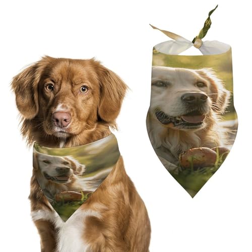 Hundehalstücher sitzend auf dem Gras, niedlich, weiche Baumwolle, waschbar, für den täglichen Sommer, langlebig, dreieckig, wendbar, geeignet für kleine, mittelgroße und große Hunde und Katzen Hundehalstücher sitzend auf dem Gras, niedlich, weiche Baumwolle, waschbar, für den täglichen Sommer, langlebig, dreieckig, wendbar, geeignet für kleine, mittelgroße und große Hunde und Katzen von ERSTSNCK