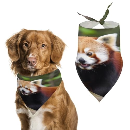 Little Red Panda Hundehalstücher, niedlich, weiche Baumwolle, waschbar, für den täglichen Sommer, langlebig, dreieckig, wendbar, geeignet für kleine, mittelgroße und große Hunde und Katzen Little Red Panda Hundehalstücher, niedlich, weiche Baumwolle, waschbar, für den täglichen Sommer, langlebig, dreieckig, wendbar, geeignet für kleine, mittelgroße und große Hunde und Katzen von ERSTSNCK