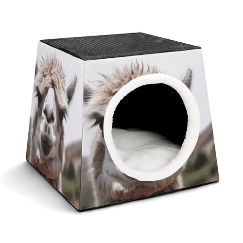 Lustige Alpaka-Llama-Haustierhütte, bequemes Nest für Haustiere, Weltraumkapsel, warm, weich, für den Innenbereich, Haustierhaus, für Katzen, kleine Hunde und mittelgroße Tiere Lustige Alpaka-Llama-Haustierhütte, bequemes Nest für Haustiere, Weltraumkapsel, warm, weich, für den Innenbereich, Haustierhaus, für Katzen, kleine Hunde und mittelgroße Tiere von ERSTSNCK