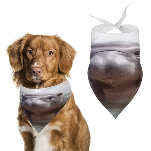 Niedliches Nilpferd-Hundehalstuch, niedlich, weiche Baumwolle, waschbar, für den täglichen Sommer, langlebig, dreieckig, wendbar, geeignet für kleine, mittelgroße und große Hunde und Katzen Niedliches Nilpferd-Hundehalstuch, niedlich, weiche Baumwolle, waschbar, für den täglichen Sommer, langlebig, dreieckig, wendbar, geeignet für kleine, mittelgroße und große Hunde und Katzen von ERSTSNCK