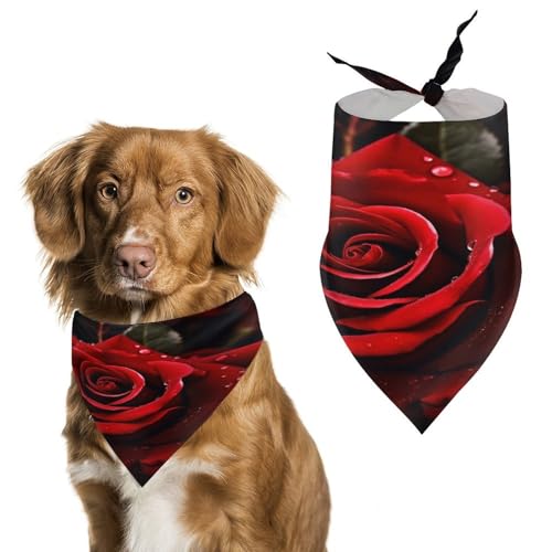 Red Rose Hundehalstücher, niedlich, weiche Baumwolle, waschbar, für den täglichen Sommer, langlebig, dreieckig, wendbar, geeignet für kleine, mittelgroße und große Hunde und Katzen Red Rose Hundehalstücher, niedlich, weiche Baumwolle, waschbar, für den täglichen Sommer, langlebig, dreieckig, wendbar, geeignet für kleine, mittelgroße und große Hunde und Katzen von ERSTSNCK