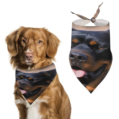 Rottweiler Hundehalstücher, niedlich, weiche Baumwolle, waschbar, für den täglichen Sommer, langlebig, dreieckig, wendbar, geeignet für kleine, mittelgroße und große Hunde und Katzen Rottweiler Hundehalstücher, niedlich, weiche Baumwolle, waschbar, für den täglichen Sommer, langlebig, dreieckig, wendbar, geeignet für kleine, mittelgroße und große Hunde und Katzen von ERSTSNCK