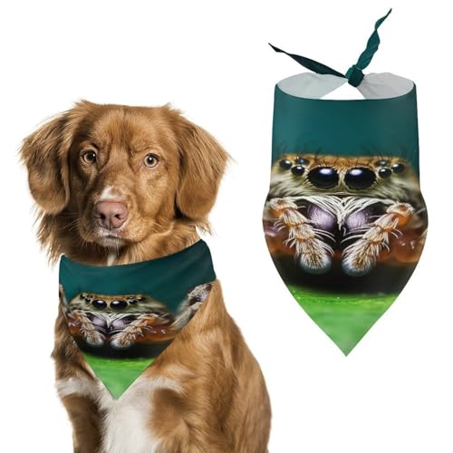 Wildlife Spider Hundehalstücher, niedlich, weiche Baumwolle, waschbar, für den täglichen Sommer, langlebig, dreieckig, wendbar, geeignet für kleine, mittelgroße und große Hunde und Katzen Wildlife Spider Hundehalstücher, niedlich, weiche Baumwolle, waschbar, für den täglichen Sommer, langlebig, dreieckig, wendbar, geeignet für kleine, mittelgroße und große Hunde und Katzen von ERSTSNCK