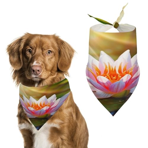 Wunderschönes Hundehalstuch, Motiv: Wasserlilie, Sonnenschein, niedlich, weiche Baumwolle, waschbar, für den täglichen Sommer, langlebig, dreieckig, wendbar, geeignet für kleine, mittelgroße und große Wunderschönes Hundehalstuch, Motiv: Wasserlilie, Sonnenschein, niedlich, weiche Baumwolle, waschbar, für den täglichen Sommer, langlebig, dreieckig, wendbar, geeignet für kleine, mittelgroße und große von ERSTSNCK