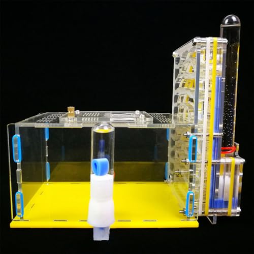 ERYUE - Clear Plastic Container Gefüllt, Leicht zu Installieren Zur Beobachtung Im Schlafzimmer, in der Küche oder Im Wohnzimmer mit Wassereinlass, (Gelb) von ERYUE