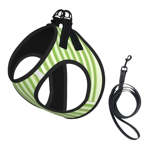 Geschirr-Set für Katzen und Hunde, klassisch, grün gestreift, reflektierend, verstellbar, ausbruchsicher, mit weichem, atmungsaktivem Netzgewebe, für kleine Haustiere und Kätzchen, Welpen von ERhoug