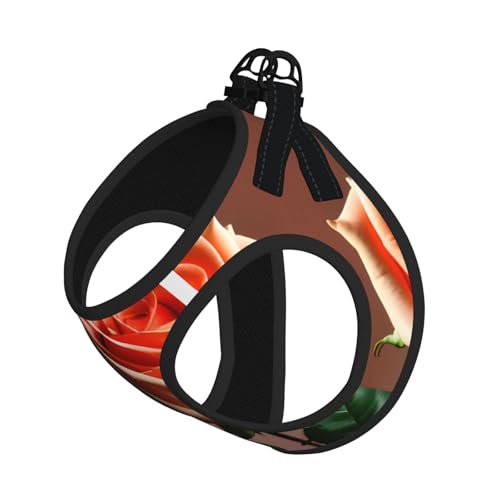 Geschirr-Set für Katzen und Hunde, reflektierend, verstellbar, ausbruchsicher, mit weichem, atmungsaktivem Netzgewebe, für kleine Haustiere und Kätzchen, Orange / Rosa von ERhoug