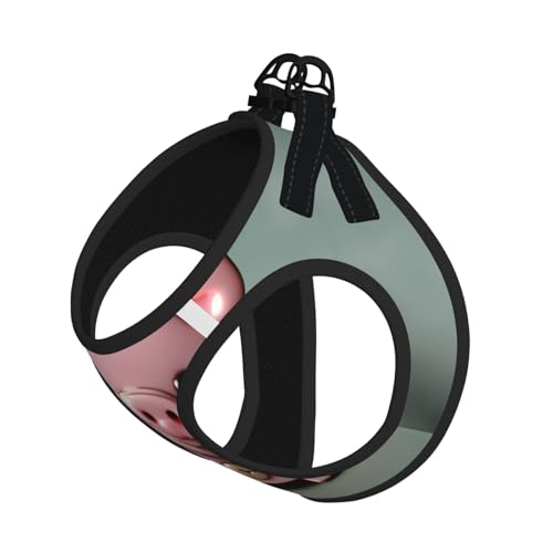 Geschirr-Set für Katzen und Hunde, reflektierend, verstellbar, ausbruchsicher, mit weichem, atmungsaktivem Netzgewebe, für kleine Haustiere und Welpen, Rosa von ERhoug
