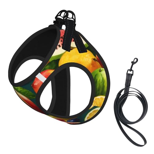 Gesundes Lebensmittel-Druckgeschirr-Set für Katzen und Hunde, reflektierend, verstellbar, ausbruchsicher, mit weichem, atmungsaktivem Netzgewebe, für kleine Haustiere und Kätzchen, Welpen von ERhoug