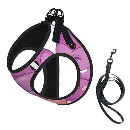 Hundegeschirr mit Leine und Leine für Katzen und Hunde, reflektierend, verstellbar, ausbruchsicher, mit weichem, atmungsaktivem Netzstoff, für kleine Haustiere und Kätzchen, Welpen, Lila Hundegeschirr mit Leine und Leine für Katzen und Hunde, reflektierend, verstellbar, ausbruchsicher, mit weichem, atmungsaktivem Netzstoff, für kleine Haustiere und Kätzchen, Welpen, Lila von ERhoug