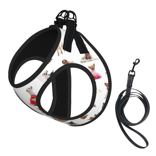 Hundegeschirr mit niedlichem Chihuahua-Mopsmuster, reflektierend, verstellbar, ausbruchsicher, mit weichem, atmungsaktivem Netzgewebe, für kleine Haustiere und Kätzchen, Welpen Hundegeschirr mit niedlichem Chihuahua-Mopsmuster, reflektierend, verstellbar, ausbruchsicher, mit weichem, atmungsaktivem Netzgewebe, für kleine Haustiere und Kätzchen, Welpen von ERhoug