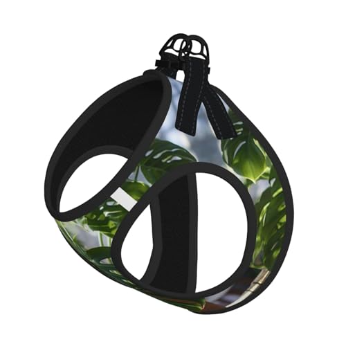 Monstera Deliciosa Geschirr-Set für Katzen und Hunde, reflektierend, verstellbar, ausbruchsicher, mit weichem, atmungsaktivem Netzgewebe, für kleine Haustiere und Kätzchen, Welpen von ERhoug