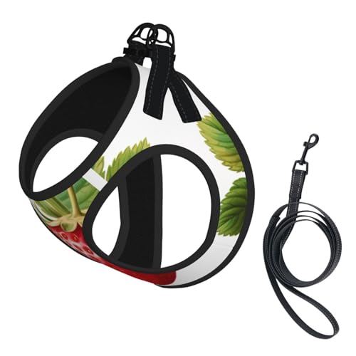 Strawberry Clipart Hundegeschirr, Leinen-Set für Katzen und Hunde, reflektierend, verstellbar, ausbruchsicher, mit weichem, atmungsaktivem Netzgewebe, für kleine Haustiere und Kätzchen, Welpen von ERhoug