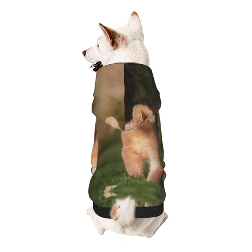 Art Lion Kapuzenpullover für kleine Haustiere, weich und atmungsaktiv, fusselt nicht leicht Art Lion Kapuzenpullover für kleine Haustiere, weich und atmungsaktiv, fusselt nicht leicht von ESASAM