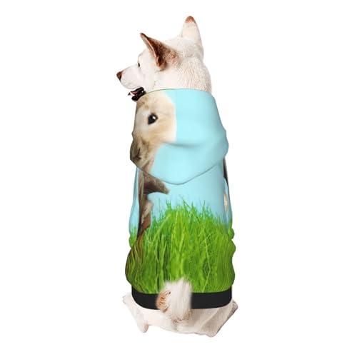 Bunny On Green Grass Kapuzenpullover für kleine Haustiere, weich und atmungsaktiv, fusselt nicht leicht von ESASAM