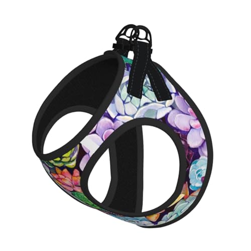 Bunte Sukkulenten-Hosenträgerweste, das perfekte kleine Haustier für einen bequemen Spaziergang Bunte Sukkulenten-Hosenträgerweste, das perfekte kleine Haustier für einen bequemen Spaziergang von ESASAM