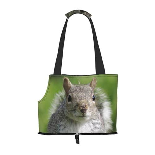 Eichhörnchen-Haustier-Tragetasche, kompakt und bequem, tragbare Haustier-Tragetasche für Reisen, von Fluggesellschaften zugelassen, Haustier-Tragetasche, Outdoor und faltbare Haustier-Tragetasche Eichhörnchen-Haustier-Tragetasche, kompakt und bequem, tragbare Haustier-Tragetasche für Reisen, von Fluggesellschaften zugelassen, Haustier-Tragetasche, Outdoor und faltbare Haustier-Tragetasche von ESASAM