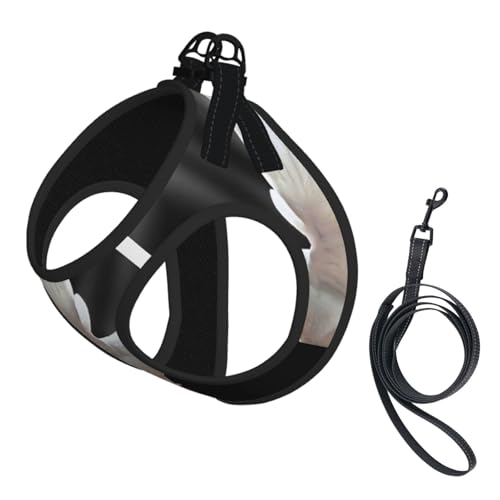 Flying Dove Kompakte Strapsweste für Haustiere, das perfekte kleine Haustier für einen bequemen Spaziergang Flying Dove Kompakte Strapsweste für Haustiere, das perfekte kleine Haustier für einen bequemen Spaziergang von ESASAM