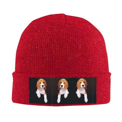 Gestrickte Wollmütze, für Hunde, Beagle, modische und warme Wintermütze, geeignet für verschiedene Anlässe Gestrickte Wollmütze, für Hunde, Beagle, modische und warme Wintermütze, geeignet für verschiedene Anlässe von ESASAM