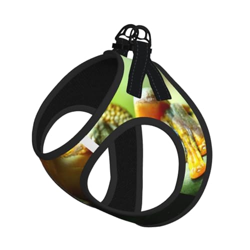 Green Frog Kompakte Strapsweste für Haustiere, das perfekte kleine Haustier für einen bequemen Spaziergang Green Frog Kompakte Strapsweste für Haustiere, das perfekte kleine Haustier für einen bequemen Spaziergang von ESASAM
