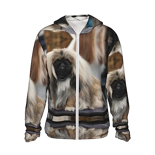 Hunde-Kapuzenpullover mit Sonnenschutz, der beste Begleiter für leichten UV-Schutz bei Erkundungen im Freien Hunde-Kapuzenpullover mit Sonnenschutz, der beste Begleiter für leichten UV-Schutz bei Erkundungen im Freien von ESASAM