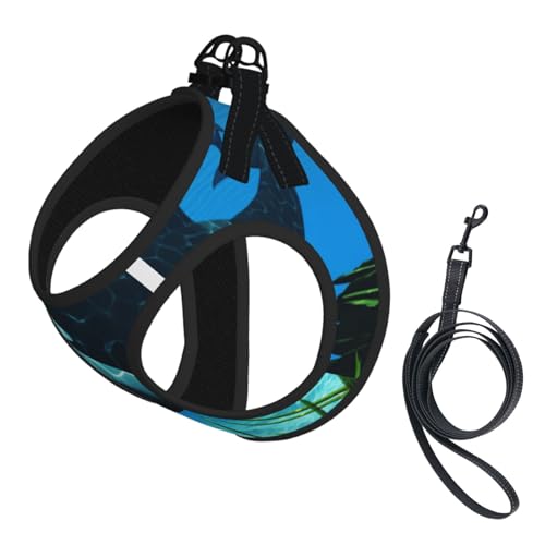 Killerwale schwimmen mit, kompakte Haustier-Strapsweste, das perfekte kleine Haustier für einen bequemen Spaziergang Killerwale schwimmen mit, kompakte Haustier-Strapsweste, das perfekte kleine Haustier für einen bequemen Spaziergang von ESASAM