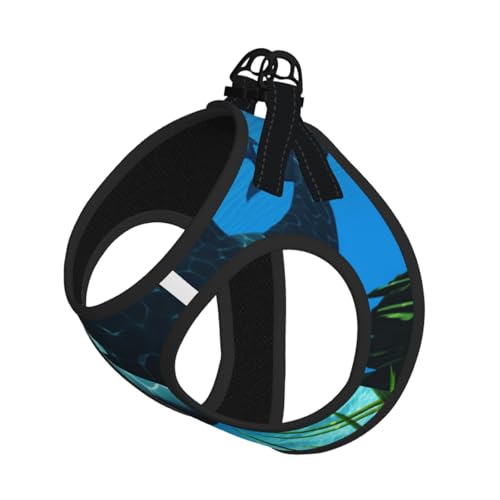 Killerwale schwimmen mit, kompakte Haustier-Strapsweste, das perfekte kleine Haustier für einen bequemen Spaziergang Killerwale schwimmen mit, kompakte Haustier-Strapsweste, das perfekte kleine Haustier für einen bequemen Spaziergang von ESASAM