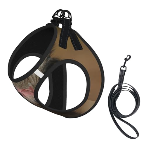 Kompakte Strapsweste für Haustiere, niedlicher Strauß, das perfekte kleine Haustier für einen bequemen Spaziergang Kompakte Strapsweste für Haustiere, niedlicher Strauß, das perfekte kleine Haustier für einen bequemen Spaziergang von ESASAM
