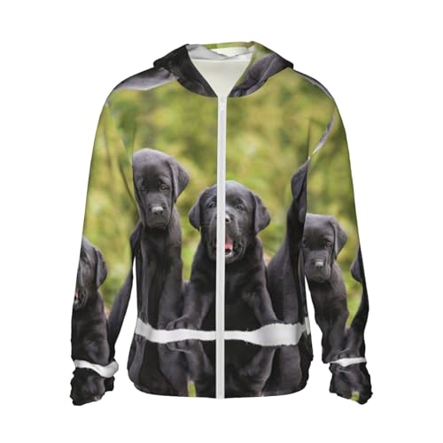 Labrador Retriever Hunde-Kapuzenpullover, der beste Begleiter für leichten UV-Schutz bei Erkundungen im Freien Labrador Retriever Hunde-Kapuzenpullover, der beste Begleiter für leichten UV-Schutz bei Erkundungen im Freien von ESASAM
