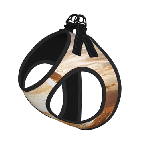 Lustige Tier-Strapsweste mit Delfin-Motiv, das perfekte kleine Haustier für einen bequemen Spaziergang Lustige Tier-Strapsweste mit Delfin-Motiv, das perfekte kleine Haustier für einen bequemen Spaziergang von ESASAM