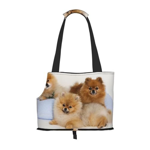 Niedliche Pommersche tragbare faltbare Haustier-Schultertasche-Reisebegleiter von kleinen Cutes Niedliche Pommersche tragbare faltbare Haustier-Schultertasche-Reisebegleiter von kleinen Cutes von ESASAM