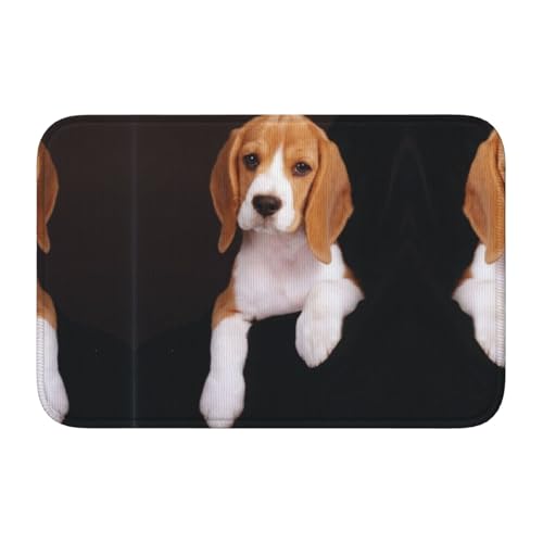 Ovely Hunde-Bodenmatte mit Beagle, Kristall-Samt, 101,6 x 152,4 cm, effektiv rutschfest und beschädigt den Boden nicht Ovely Hunde-Bodenmatte mit Beagle, Kristall-Samt, 101,6 x 152,4 cm, effektiv rutschfest und beschädigt den Boden nicht von ESASAM