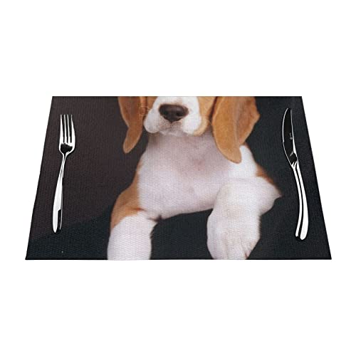 Ovely Pet Dog Beagle PVC-gewebte Tischsets sind modisch, praktisch und beständig gegen hohe Temperaturen und werden von jeder Familie benötigt Ovely Pet Dog Beagle PVC-gewebte Tischsets sind modisch, praktisch und beständig gegen hohe Temperaturen und werden von jeder Familie benötigt von ESASAM