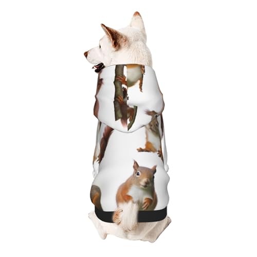 Süßes Eichhörnchen-Kapuzenpullover für kleine Haustiere, weich und atmungsaktiv, fusselt nicht leicht von ESASAM