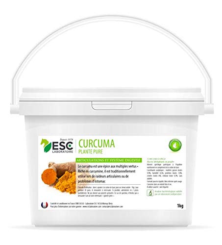 Curcuma – Articulations et digestion cheval – Plante pure 1 kg von Guoml